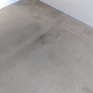 Photo of A1 Fresh & Clean Carpet Service