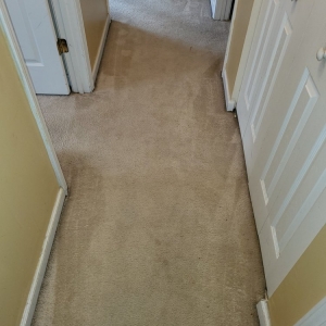 Photo of A1 Fresh & Clean Carpet Service