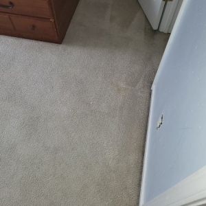 Photo of A1 Fresh & Clean Carpet Service