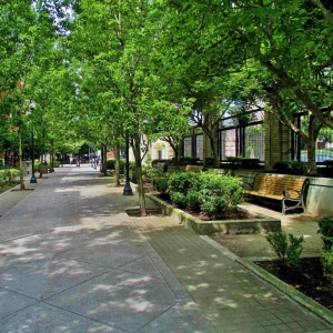 Photo of Burlington Tower