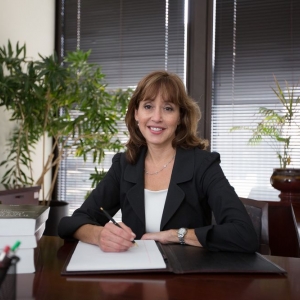 Oakbrook Terrace Erlich Law Office
