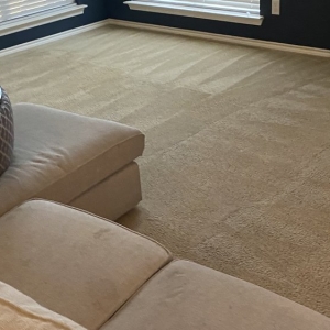 Photo of Miracle Cleaning