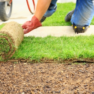 Photo of Ampersand Landscaping