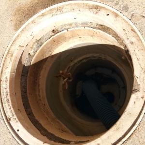 Photo of Marios Pool Service