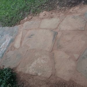 Photo of Optimal Lawn & Landscape