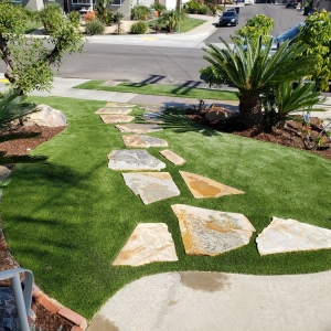 Photo of ProGreen Charleston