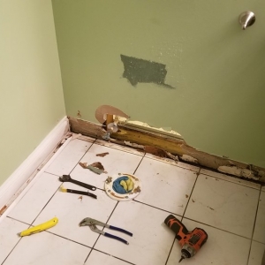 Photo of Handyman CBG