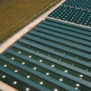 Photo of Solarify