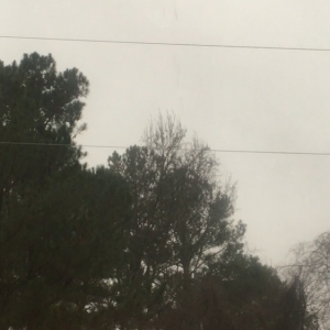 Photo of Cullman Roofing and Repair