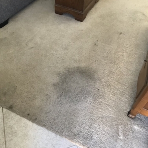 Photo of Fifth Labor Cleaning Services