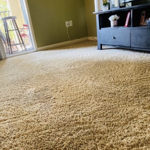 Photo of Fifth Labor Cleaning Services