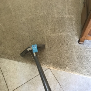 Photo of Fifth Labor Cleaning Services