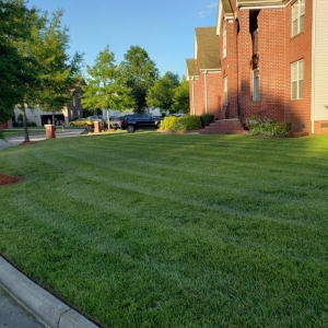 Photo of Create My Lawn