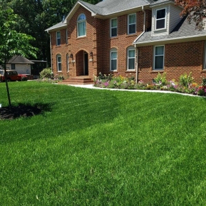 Photo of Create My Lawn