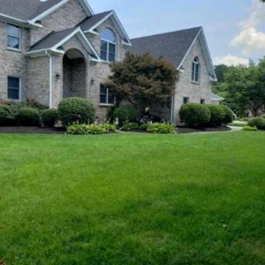 Photo of Create My Lawn