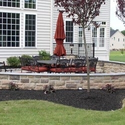 Photo of Dynamic Landscaping and Irrigation