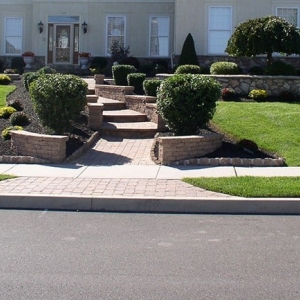 Photo of Dynamic Landscaping and Irrigation
