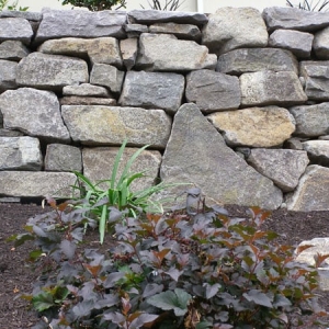 Photo of Apogee Landscapes