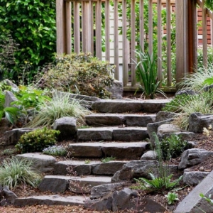 Photo of Apogee Landscapes