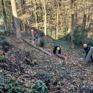 Photo of United Tree Pro Service