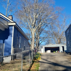 Photo of United Tree Pro Service
