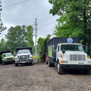 Photo of United Tree Pro Service