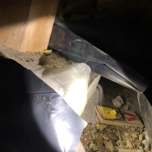 Photo of Sun's Energy Insulation Service