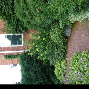 Photo of Doerler Landscapes