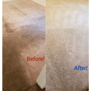 Photo of Enviro Clean Carpet Cleaning