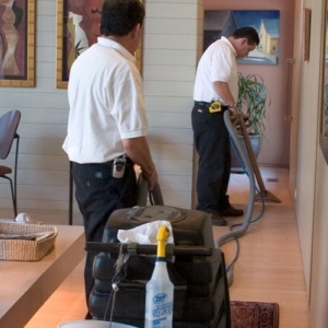 Photo of Long Island Carpet Cleaners