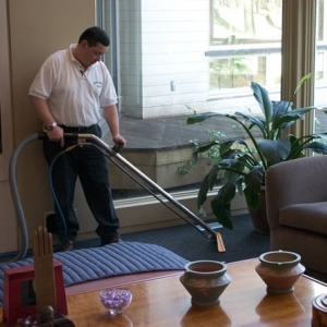 Photo of Long Island Carpet Cleaners