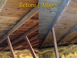 Photo of Green Home Care