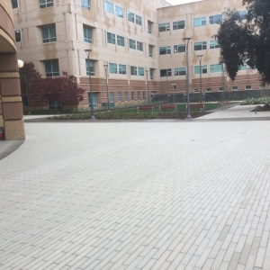 Photo of Pacific Hardscapes