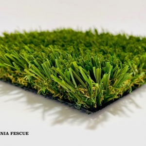 Photo of Better Than Real Artificial Grass