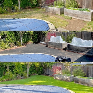 Photo of Better Than Real Artificial Grass