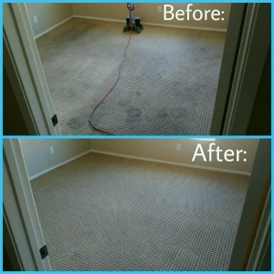 Photo of Musser Brother Carpet Cleaning