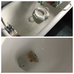 Denver A 1st Choice Cleaning