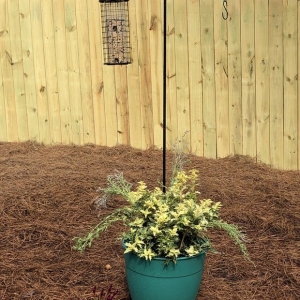 Photo of Crabtree Garden Center & Landscaping