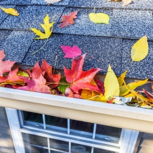 Modesto Countryside Property Management