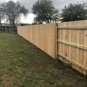 Photo of South Texas Fence