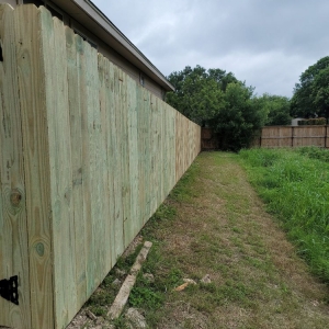 Photo of South Texas Fence