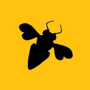 Photo of Bee Clean