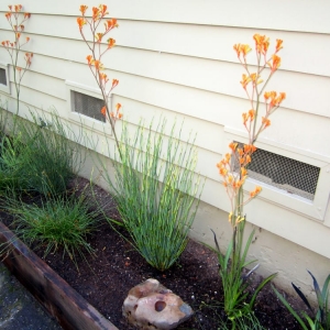Photo of Wave Hill Landscaping and Irrigation