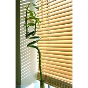 Photo of Affordable Quality Blinds