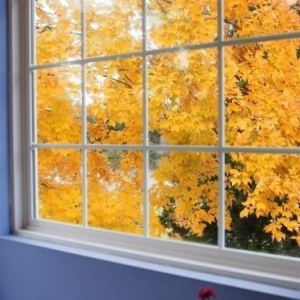 Photo of Coast Mirror Company
