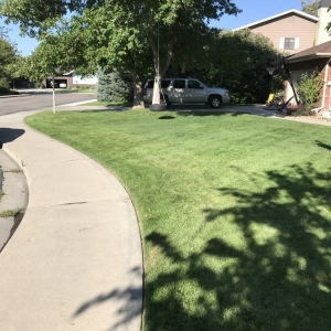 Photo of Extra Mile Landscape & Irrigation