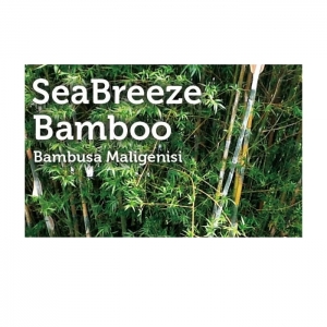 Photo of Peltons Bamboo