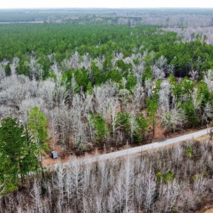 Photo of Genty Aerial Photography