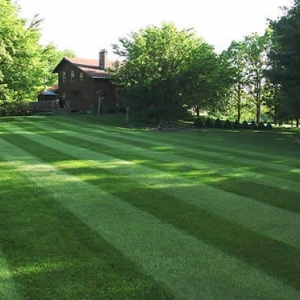 Photo of Charleston's Outdoor Services