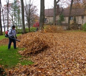 Photo of Charleston's Outdoor Services